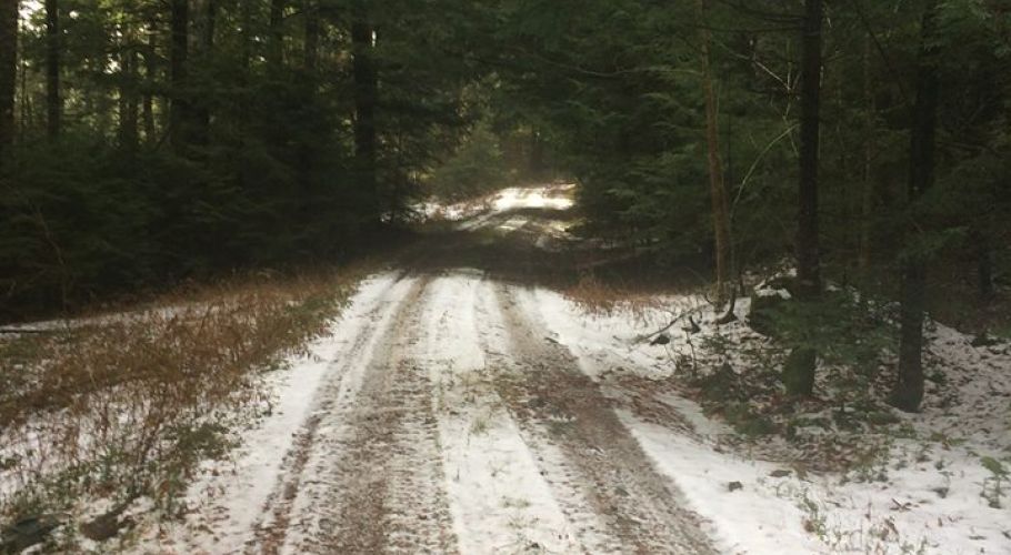 Winter's Night Walk of Lights trail