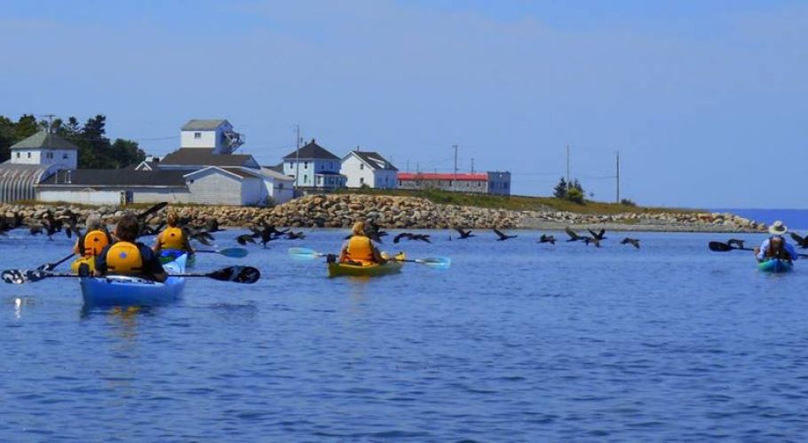 kayaking