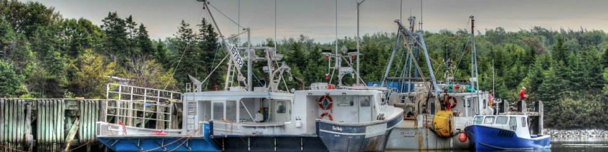 Boats at the Weymouth North Wharf